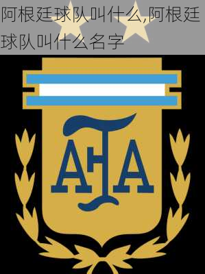 阿根廷球队叫什么,阿根廷球队叫什么名字