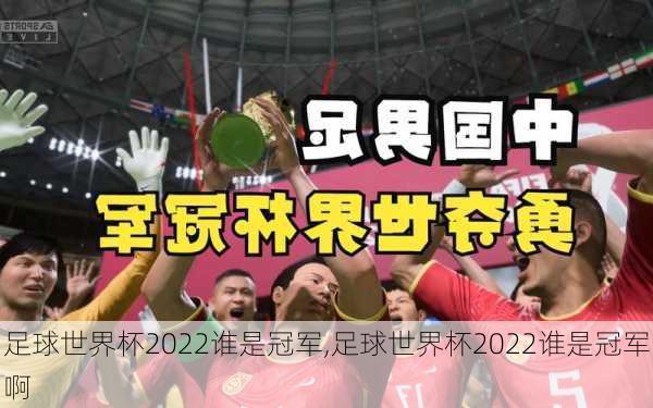 足球世界杯2022谁是冠军,足球世界杯2022谁是冠军啊