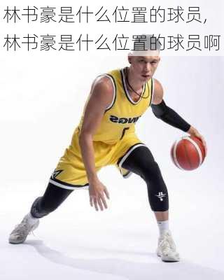 林书豪是什么位置的球员,林书豪是什么位置的球员啊