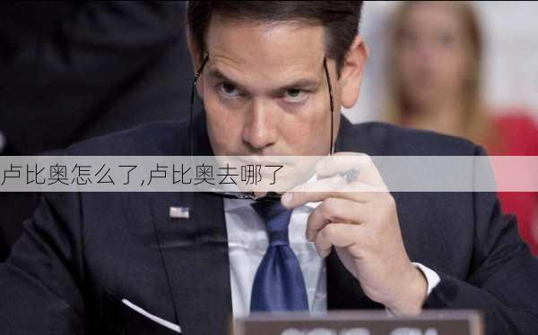 卢比奥怎么了,卢比奥去哪了