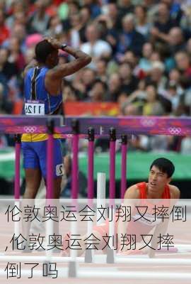 伦敦奥运会刘翔又摔倒,伦敦奥运会刘翔又摔倒了吗
