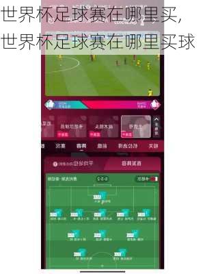 世界杯足球赛在哪里买,世界杯足球赛在哪里买球