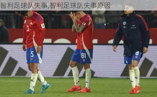 智利足球队失事,智利足球队失事原因
