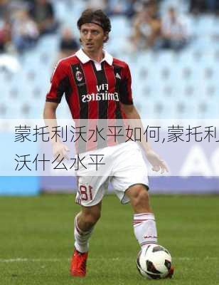 蒙托利沃水平如何,蒙托利沃什么水平