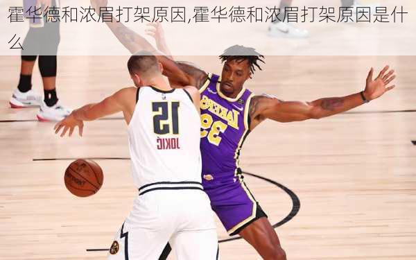 霍华德和浓眉打架原因,霍华德和浓眉打架原因是什么