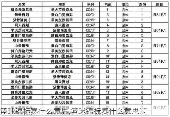 篮球锦标赛什么意思,篮球锦标赛什么意思啊