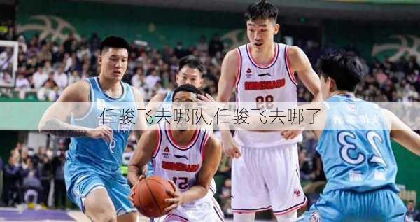任骏飞去哪队,任骏飞去哪了