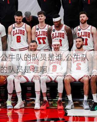 公牛队的队员是谁,公牛队的队员是谁啊