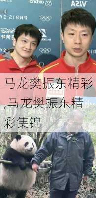 马龙樊振东精彩,马龙樊振东精彩集锦