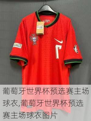 葡萄牙世界杯预选赛主场球衣,葡萄牙世界杯预选赛主场球衣图片