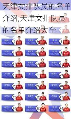 天津女排队员的名单介绍,天津女排队员的名单介绍大全