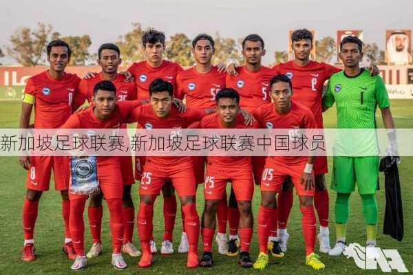 新加坡足球联赛,新加坡足球联赛中国球员