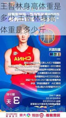 王哲林身高体重是多少,王哲林身高体重是多少斤