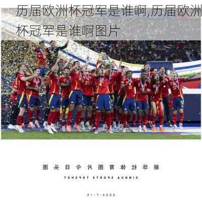 历届欧洲杯冠军是谁啊,历届欧洲杯冠军是谁啊图片