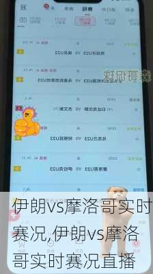 伊朗vs摩洛哥实时赛况,伊朗vs摩洛哥实时赛况直播