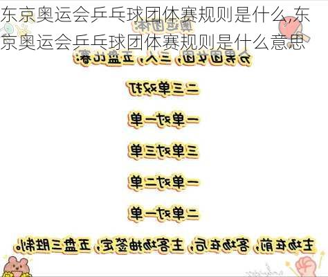 东京奥运会乒乓球团体赛规则是什么,东京奥运会乒乓球团体赛规则是什么意思