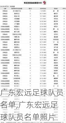 广东宏远足球队员名单,广东宏远足球队员名单照片