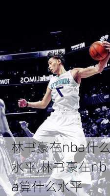林书豪在nba什么水平,林书豪在nba算什么水平