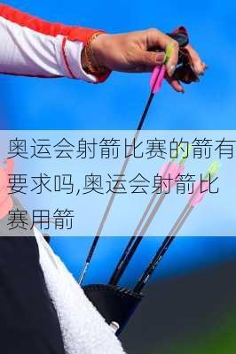 奥运会射箭比赛的箭有要求吗,奥运会射箭比赛用箭