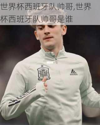 世界杯西班牙队帅哥,世界杯西班牙队帅哥是谁