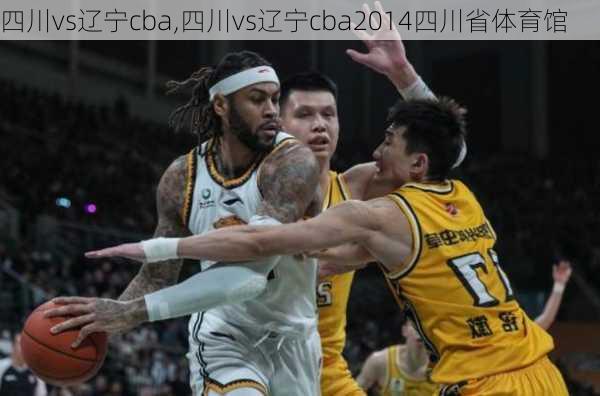 四川vs辽宁cba,四川vs辽宁cba2014四川省体育馆