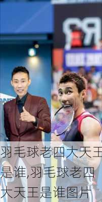羽毛球老四大天王是谁,羽毛球老四大天王是谁图片
