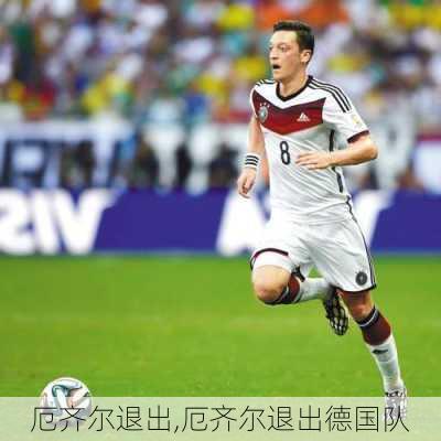 厄齐尔退出,厄齐尔退出德国队