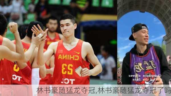林书豪随猛龙夺冠,林书豪随猛龙夺冠了吗