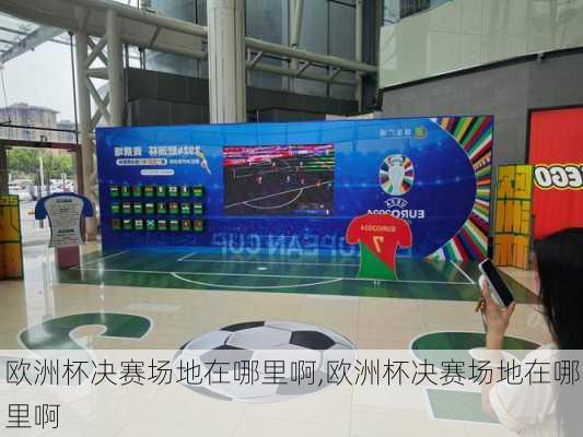 欧洲杯决赛场地在哪里啊,欧洲杯决赛场地在哪里啊
