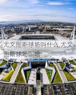 尤文图斯球场叫什么,尤文图斯球场叫啥