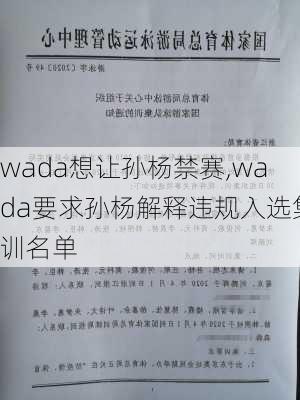 wada想让孙杨禁赛,wada要求孙杨解释违规入选集训名单