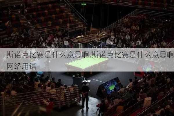 斯诺克比赛是什么意思啊,斯诺克比赛是什么意思啊网络用语