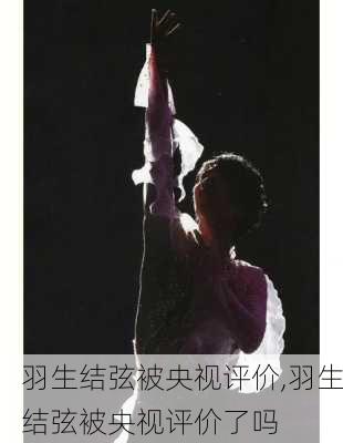 羽生结弦被央视评价,羽生结弦被央视评价了吗