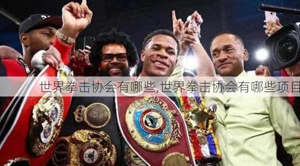 世界拳击协会有哪些,世界拳击协会有哪些项目
