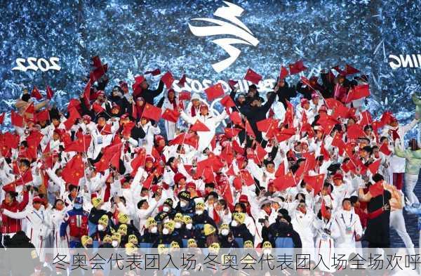 冬奥会代表团入场,冬奥会代表团入场全场欢呼
