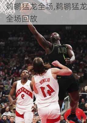 鹈鹕猛龙全场,鹈鹕猛龙全场回放