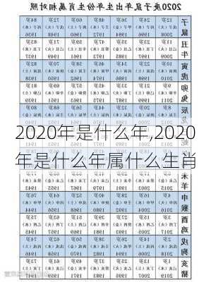 2020年是什么年,2020年是什么年属什么生肖