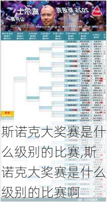 斯诺克大奖赛是什么级别的比赛,斯诺克大奖赛是什么级别的比赛啊