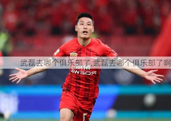 武磊去哪个俱乐部了,武磊去哪个俱乐部了啊