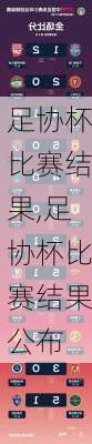 足协杯比赛结果,足协杯比赛结果公布