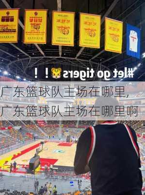 广东篮球队主场在哪里,广东篮球队主场在哪里啊