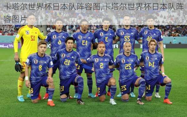 卡塔尔世界杯日本队阵容图,卡塔尔世界杯日本队阵容图片
