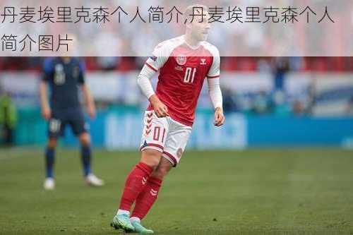 丹麦埃里克森个人简介,丹麦埃里克森个人简介图片