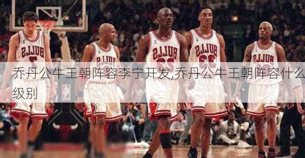 乔丹公牛王朝阵容李宁开发,乔丹公牛王朝阵容什么级别