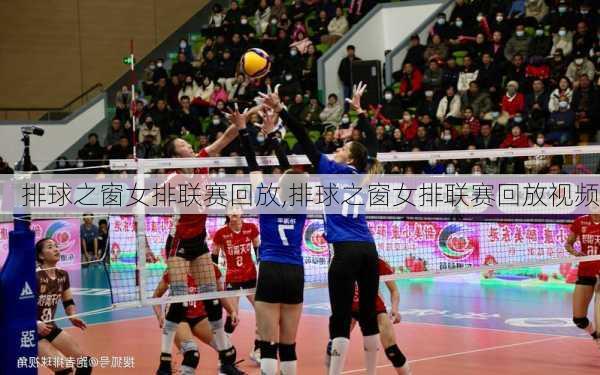 排球之窗女排联赛回放,排球之窗女排联赛回放视频