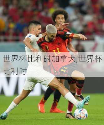 世界杯比利时加拿大,世界杯 比利时
