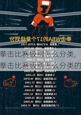 拳击比赛级别怎么分类,拳击比赛级别怎么分类的