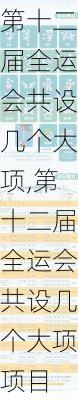 第十二届全运会共设几个大项,第十二届全运会共设几个大项项目