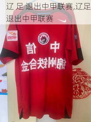 辽 足 退出中甲联赛,辽足退出中甲联赛