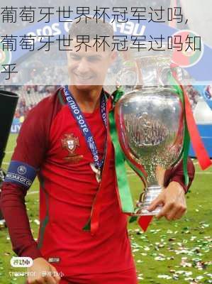 葡萄牙世界杯冠军过吗,葡萄牙世界杯冠军过吗知乎